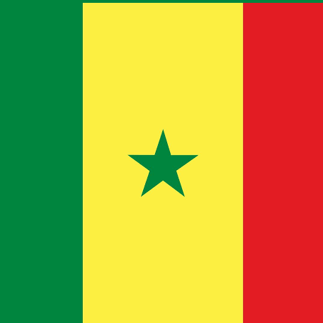 Face Up Senegal