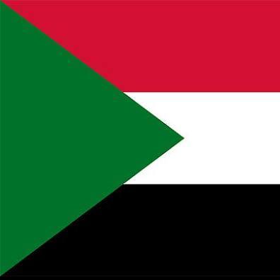 Face Up Sudan