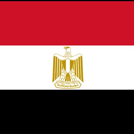 Face Up Egypt