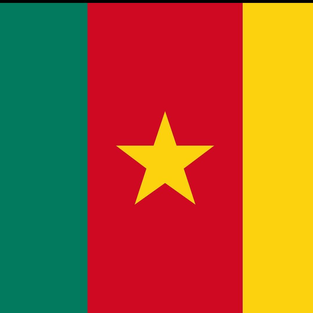 Face Up Cameroon