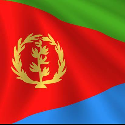 Face Up Eritrea