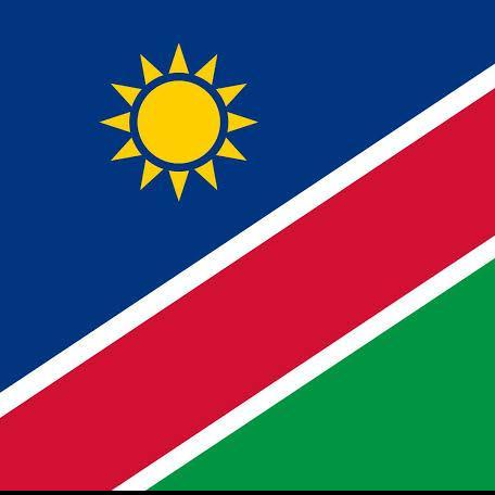 Face Up Namibia