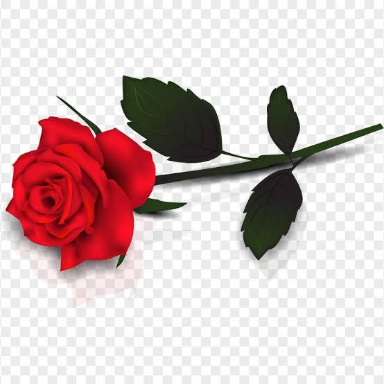 Gift Image