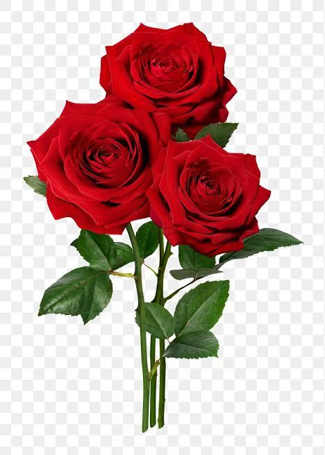 Gift Image