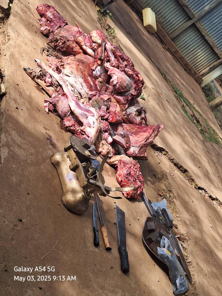 Evidence, including the seized meat, was photographed, secured.