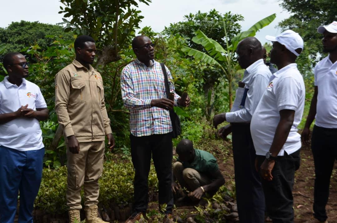 Officials from Alur Kingdom receive the seedlings from Hongera Sana Uganda officials at Alur Kingdom palace in Zombo district on Monday May 12, 2025.