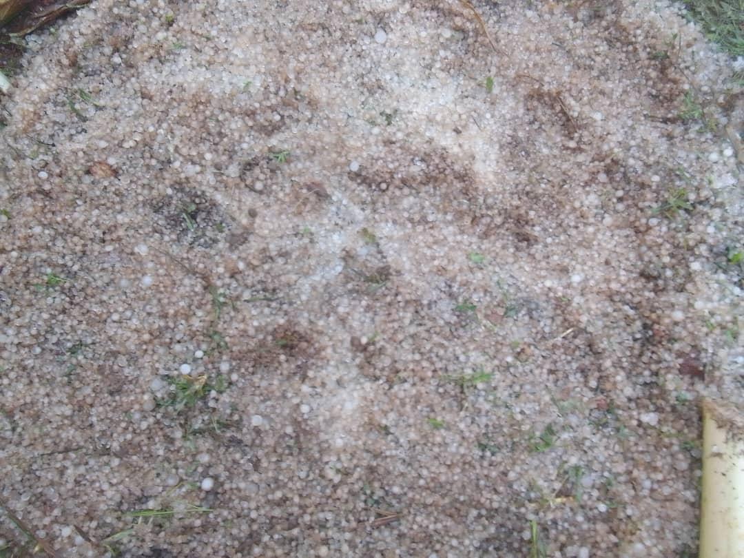 Hailstorms ravaged crop friends