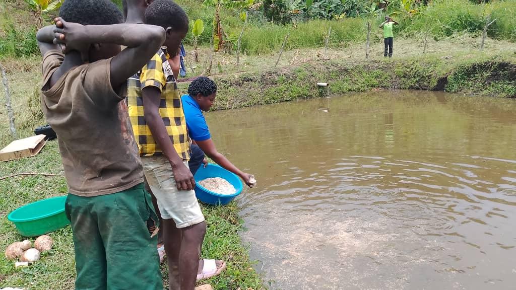 Caritas Nebbi Catholic Diocese Boosts fish farming in Zombo and Nebbi