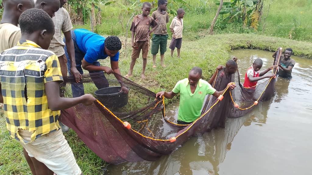 Caritas Nebbi Catholic Diocese Boosts fish farming in Zombo and Nebbi