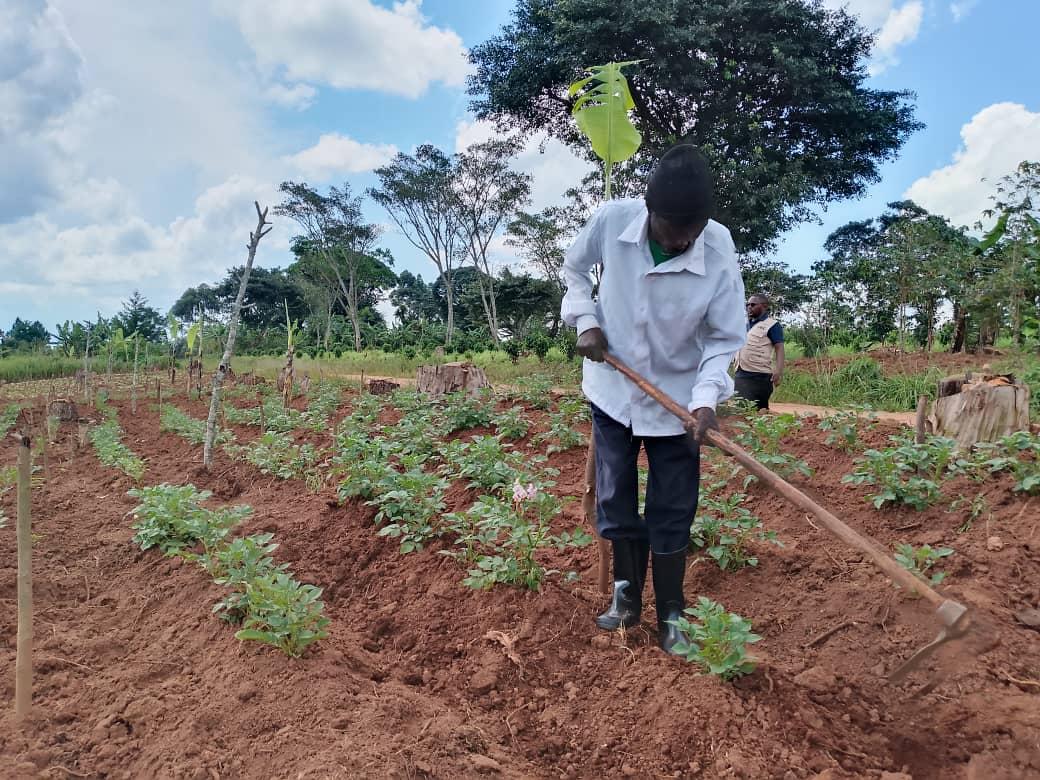 Alphonse Okello, one of the lead farmers from Rada village, Osoye parish.