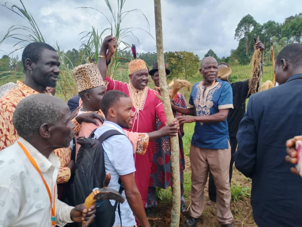 The two leaders planted banyan trees on either side of Leda Stream to symbolize historic reconciliation.