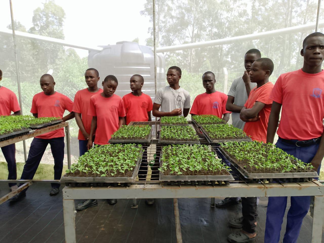 Learners of Nyapea college and Nyapea girls primary at the green house.