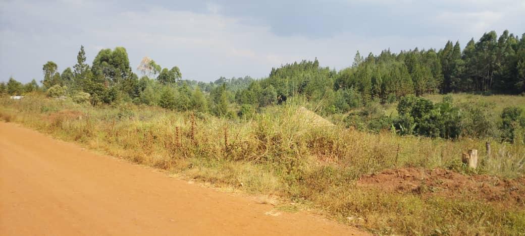 Community woodlot planted outside the reserve