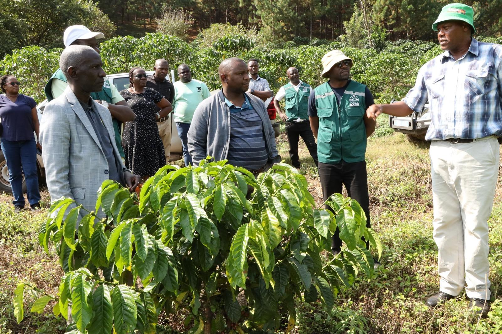 NARO Director General, Dr. Yona Baguma (left) and the Clarke Farm Manager, Sylvester Kyendi (right) and other team members on the coffee farm in Kyenjojo. By Alex Pithua