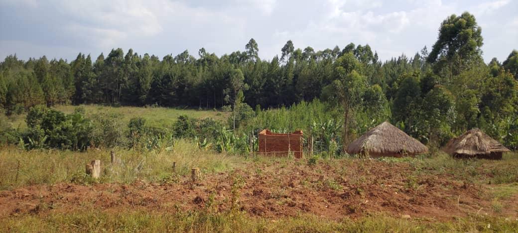 Community woodlot planted outside the reserve