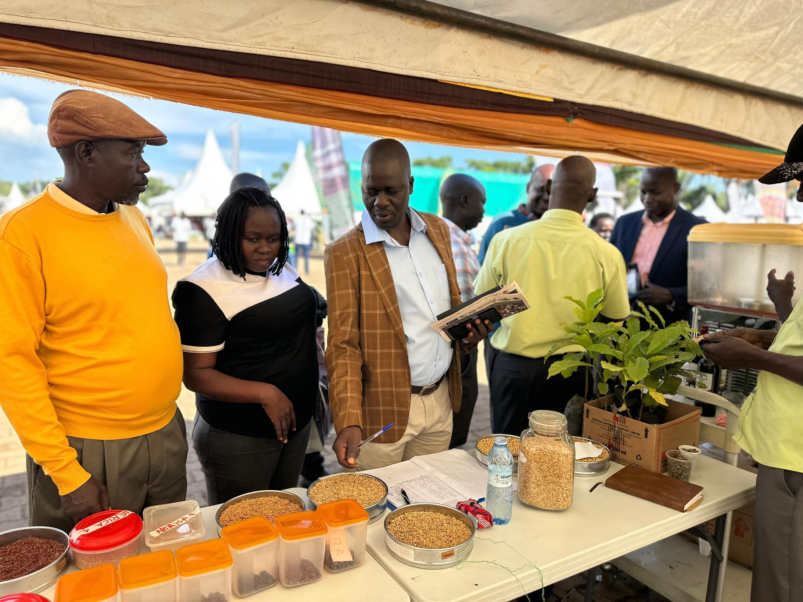 Showgoers looking at some of the improved seed varieties. Photo by Alex Pithua