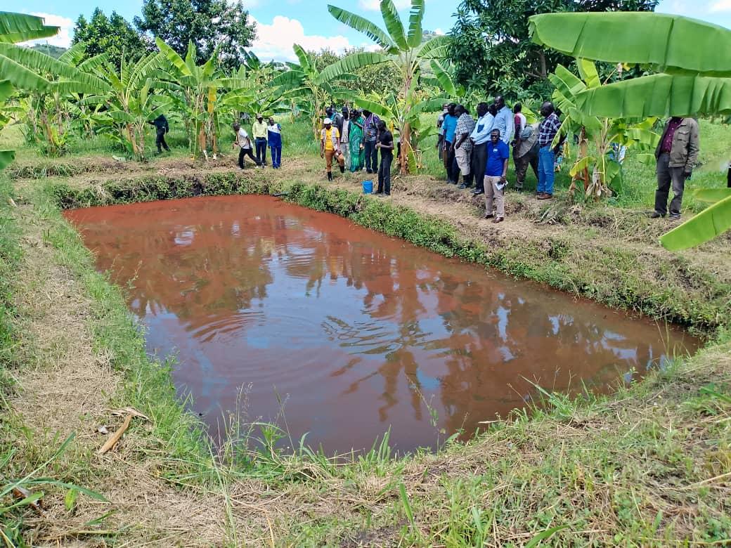 Elders toured the fish ponds