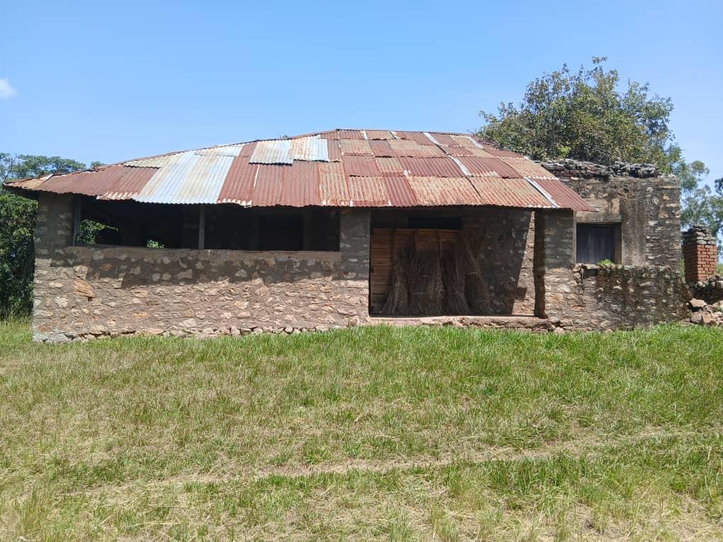 The old palace building was constructed by Rwoth Jalusiga Rauni II, who became the King (Ubimu) of the Alur in 1941 after succeeding his father, Rwoth Amula Jobi I. He reigned until his death in 1978. The palace, built in 1962, remains an important historical landmark of the Alur Kingdom.
