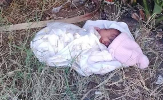Image of a new born baby
