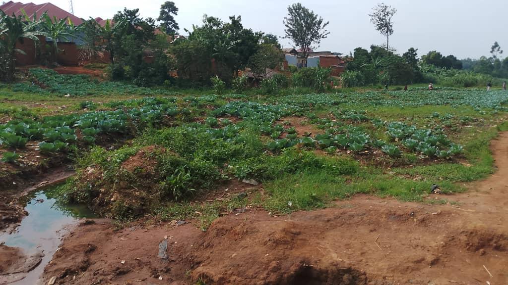 Solia Valley in Paidha town council