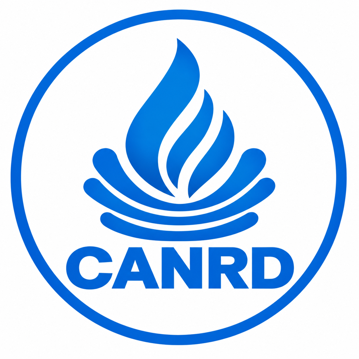 Canrud Polyelectrolyte